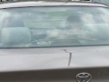1998 Toyota Camry Back Glass Replacement