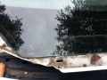 2009 Honda Civic 4door Windshield in Cedar Park, TX