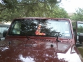 2007 Jeep Wrangler Windshield