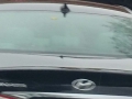 2010 Hyundai Sonata Back Glass
