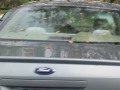2006 Ford Five Hundred Back Glass Converse, TX