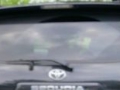 2008 Toyota Sequoia Back Glass Replacement