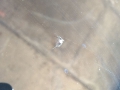 windshield-rock-chip-repair.jpg