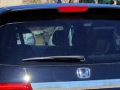 2012 Honda Odyssey Back Glass Replacement
