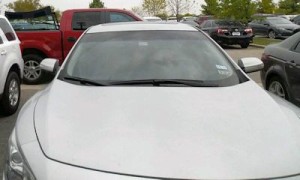 2014 Nissan Maxima Windshield Replacement
